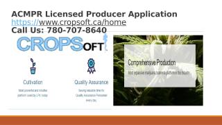 ACMPR Licensed Producer Application (1).pptx