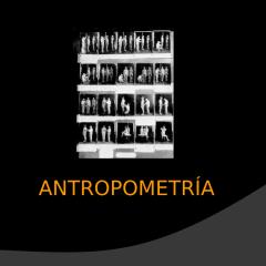 antropometria1.ppt